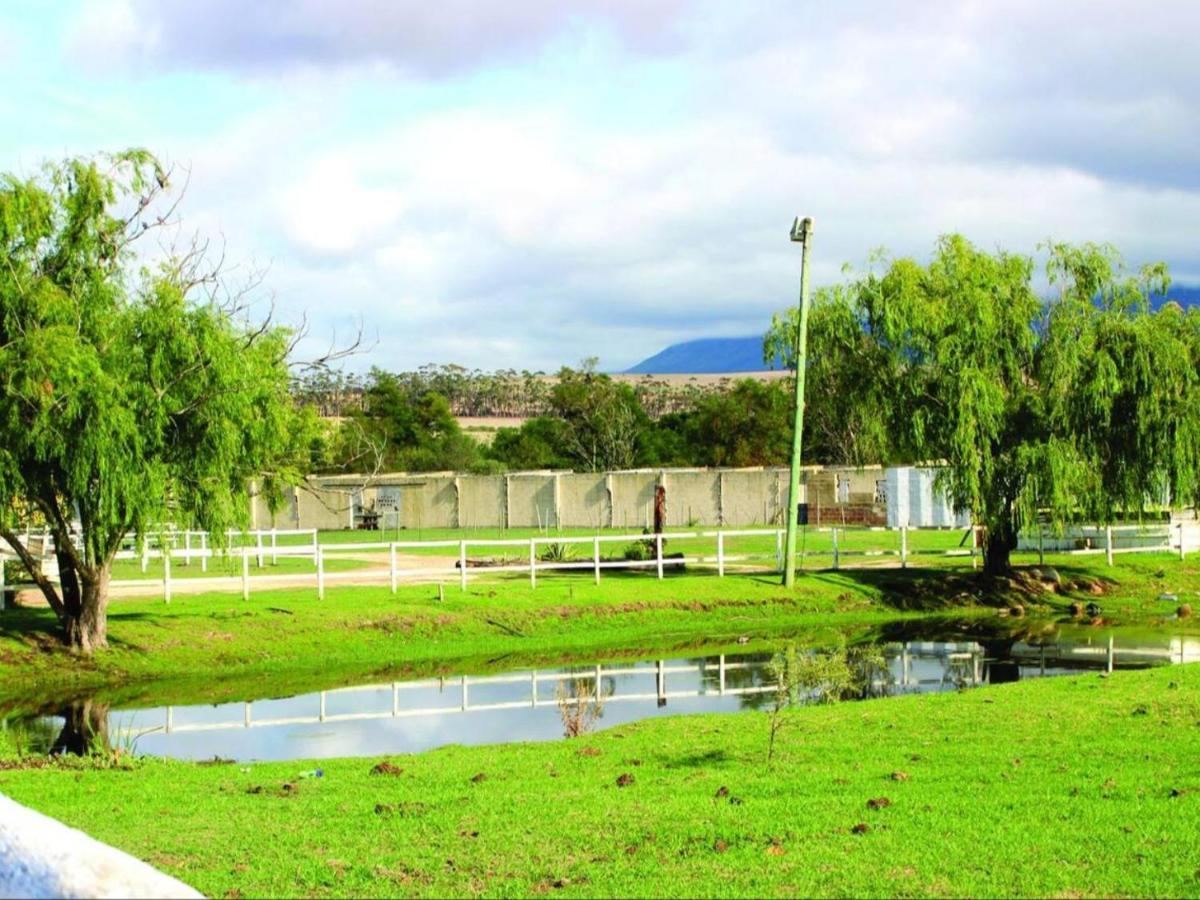 Blue Mountain Farm Lodge, Cabins & Cottages Swellendam Exterior foto